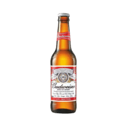 Budweiser 330ml Bottle