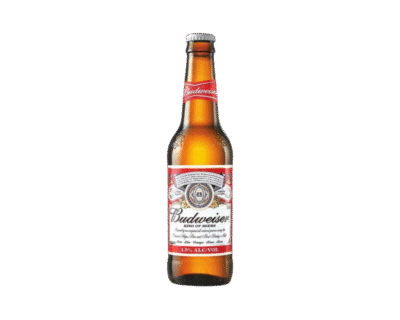 Budweiser 330ml Bottle